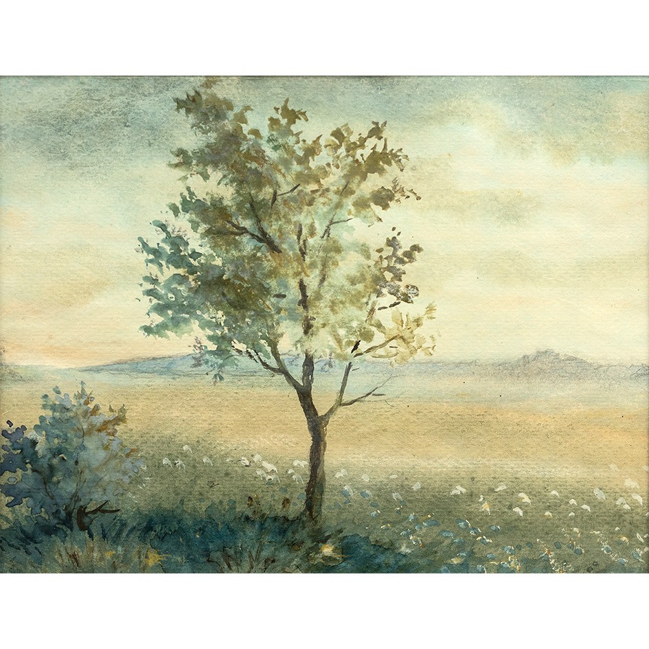 38_Simonis