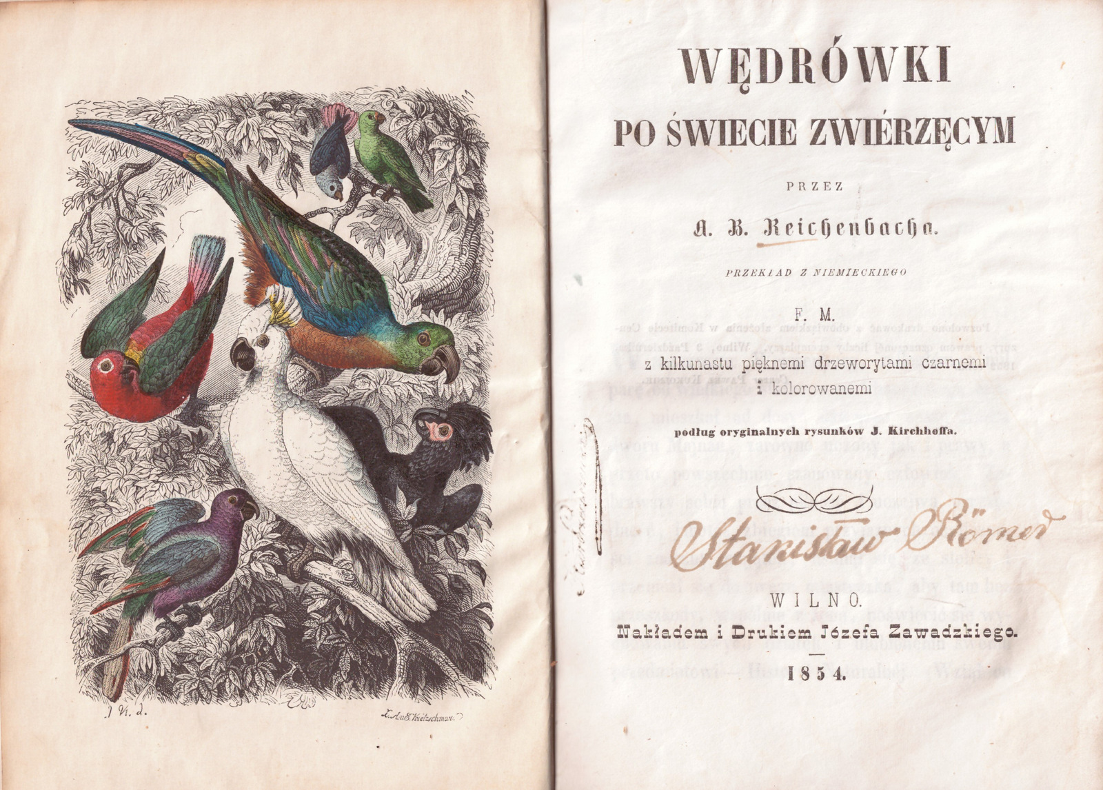 Švento Kazimiero gyvenimas, 1858 - Image 3