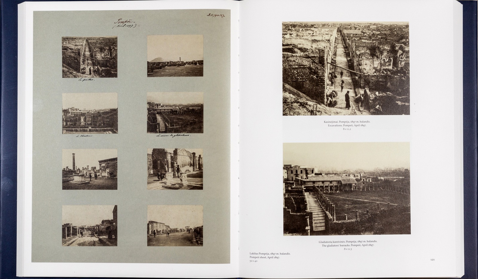 Sugrįžimas. The homecoming: grafas Benediktas Henrikas Tiškevičius (1852–1935). - Image 5